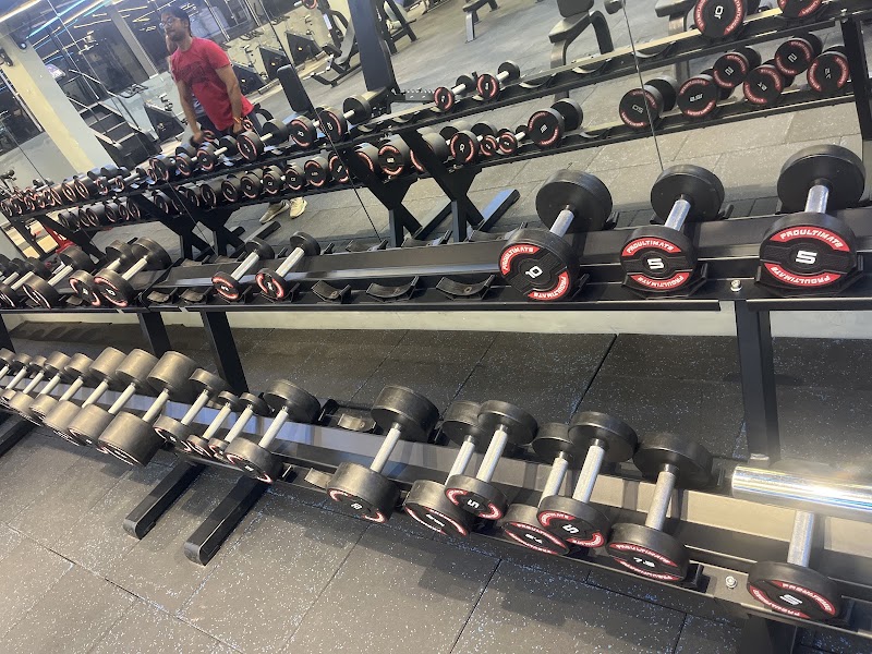 PRO ULTIMATE GYMS - SEC. 48 GURGAON - PRO ULTIMATE GYMS - SEC. 48 GURGAON DDC Arcade, Badshahpur Sohna Rd, opp. Vipul Business Park, Vipul World, Sector 48, Gurugram, Haryana 122018, India