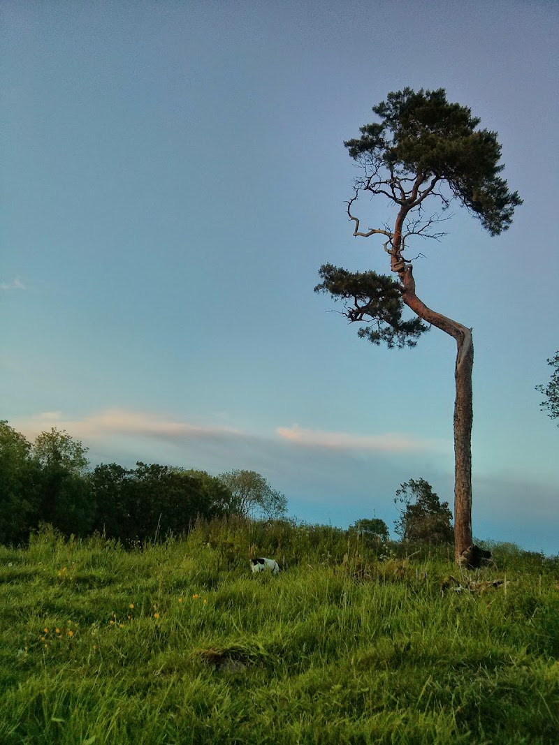 Cadbury Hill - Cadbury Hill, Congresbury, Bristol BS49 5AH, UK