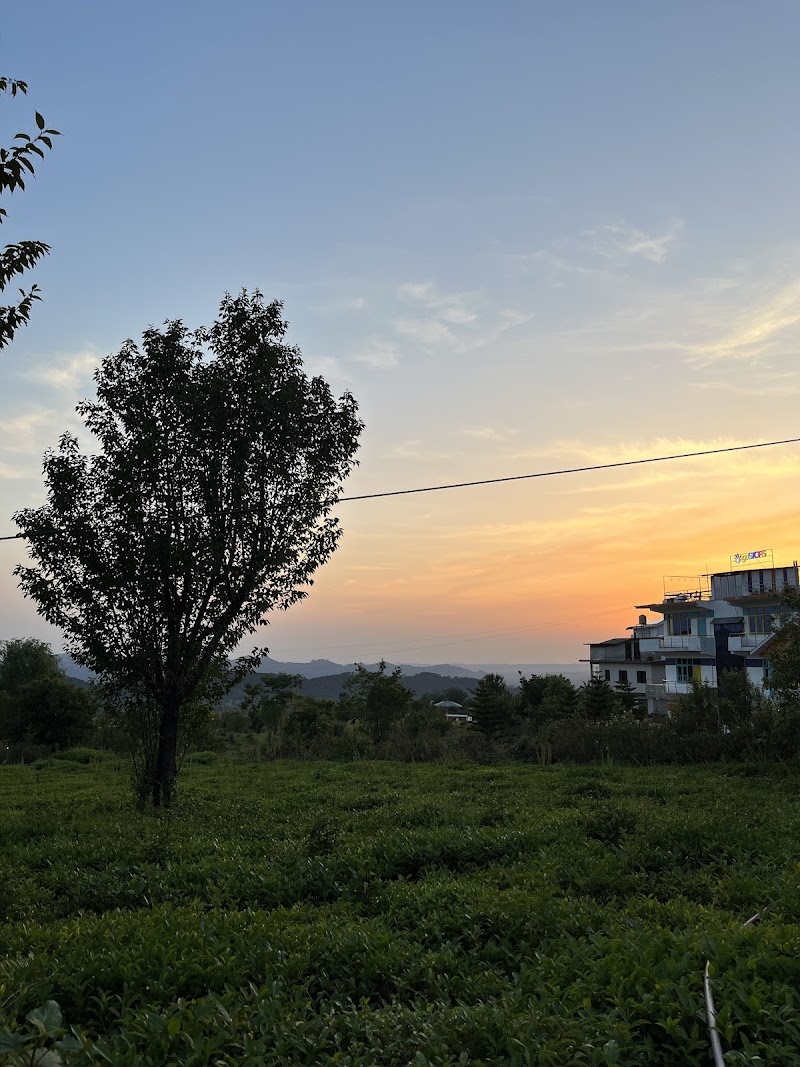 Café Roam Wild - Café Roam Wild, Landing site, Bir, Suja, Himachal Pradesh 176077, India