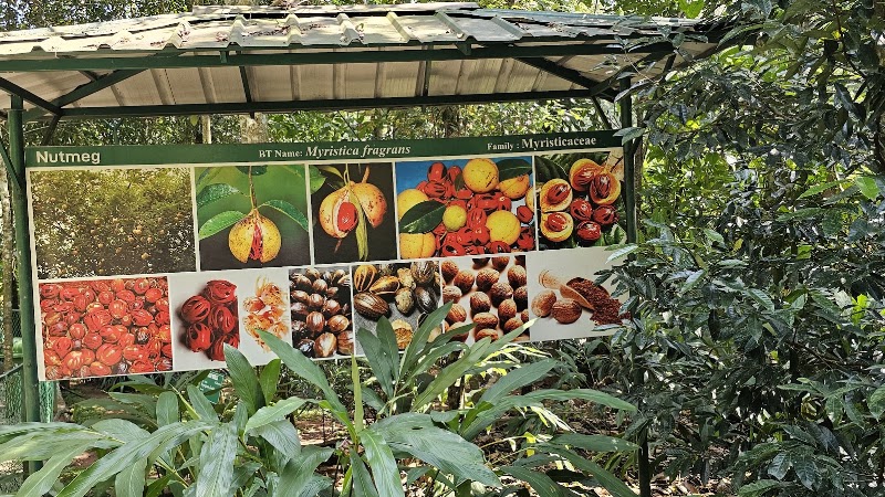 The Spice Route Ayurvedic & Spices Garden - The Spice Route Ayurvedic & Spices Garden Amaravathi, Kumily, Kerala 685509, India