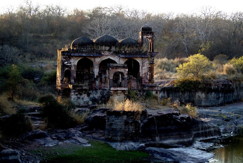 Ranthambhore Fort - Ranthambhore Fort, Rajasthan, India