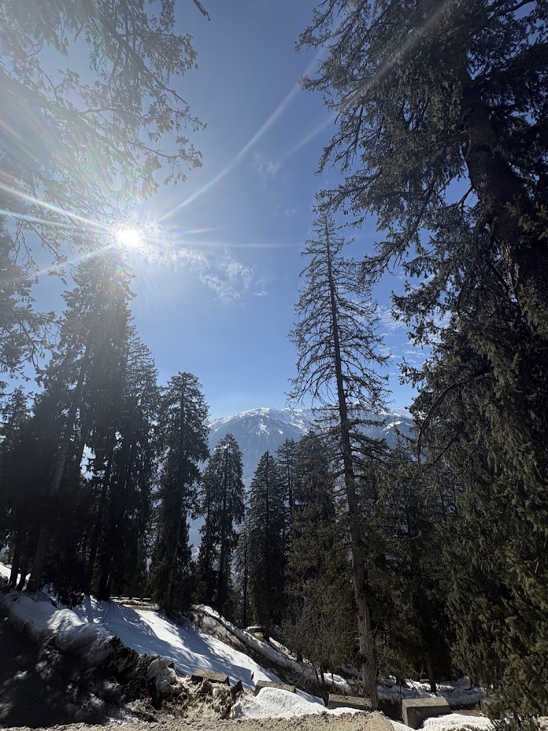 Sethan valley view - Sethan valley view, 66PC+JPH, Sethan, Himachal Pradesh 175143, India