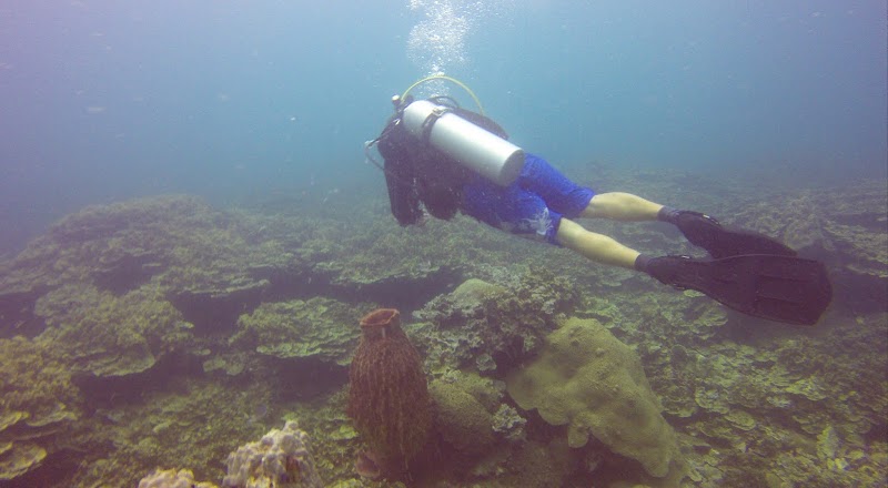 Jamahkiri Diving Club