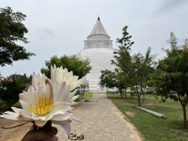 Tissamaharama Raja Maha Vihara - Tissamaharama Raja Maha Vihara Rubberwatte Rd, Tissamaharama, Sri Lanka