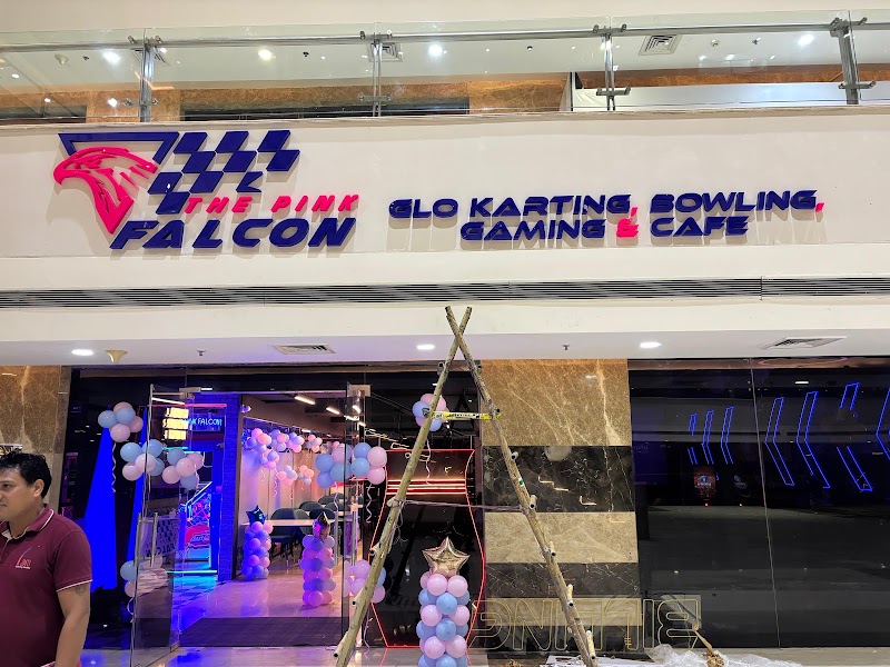 The Pink Falcon - The Pink Falcon Lower ground Floor, JMD Empire Square, Mehrauli-Gurgaon Rd, Sector 28, DLF Phase 1, Gurugram, Sikanderpur Ghosi, Haryana 122002, India