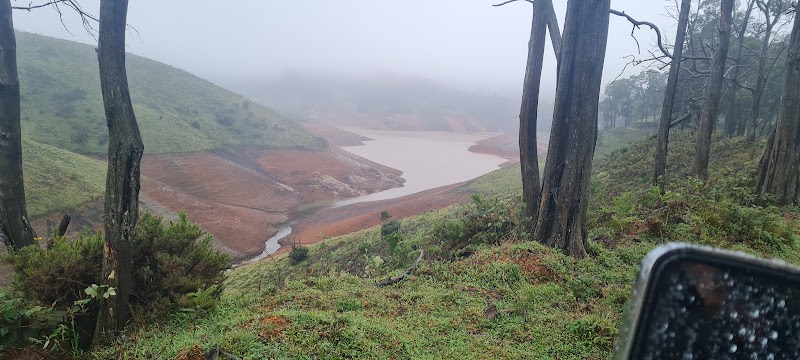 Mukurthi National Park - Mukurthi National Park Nilgiri hills, Mulligoor, Tamil Nadu 643219, India