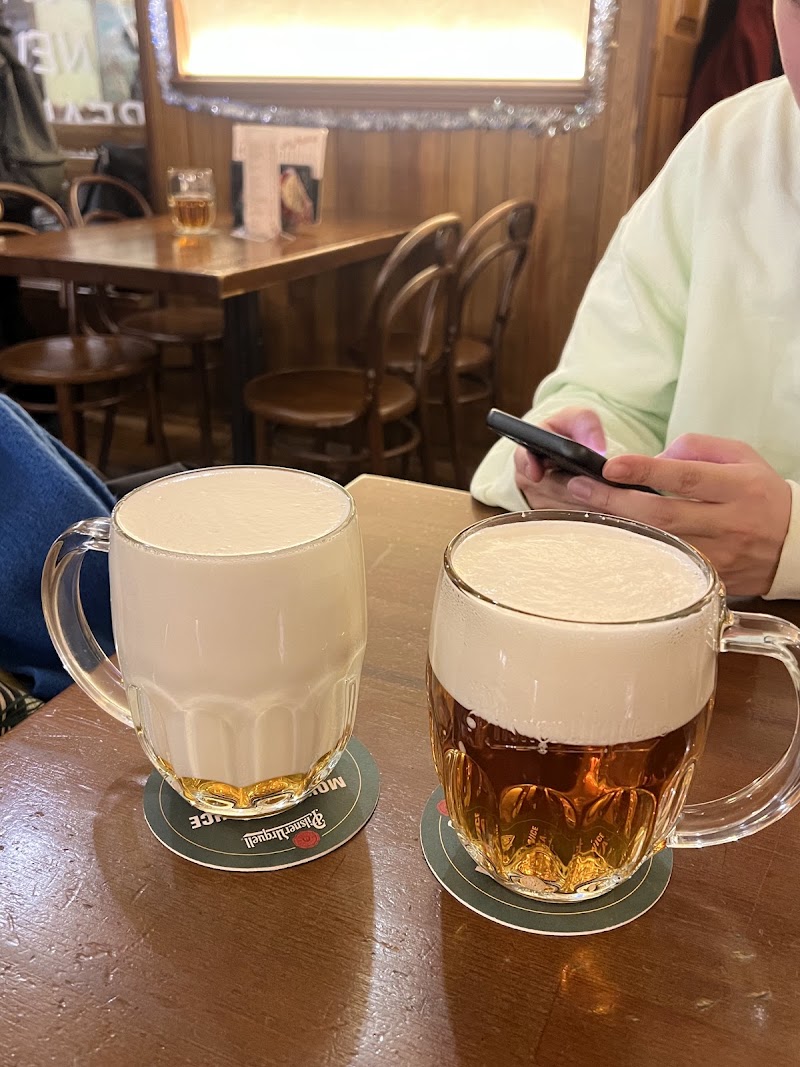 Švejk restaurant - Švejk restaurant, Betlémské nám. 351/6, Staré Město, 110 00 Praha-Praha 1, Czechia