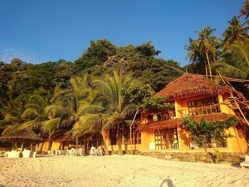 Apo Island Beach Resort - Apo Island Beach Resort, Apo Island, Dauin, 6217 Negros Oriental, Philippines