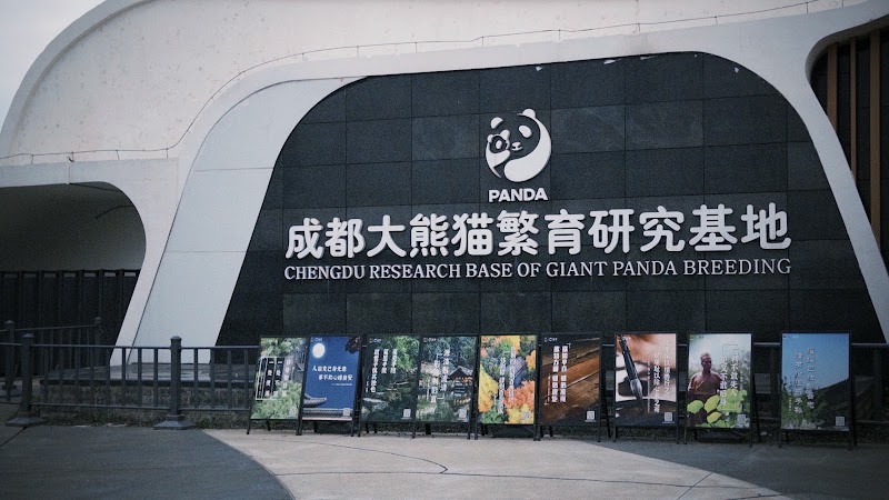 Chengdu Research Base of Giant Panda Breeding - Chengdu Research Base of Giant Panda Breeding 1375 Xiong Mao Da Dao, Cheng Hua Qu, Cheng Du Shi, Si Chuan Sheng, China, 610016