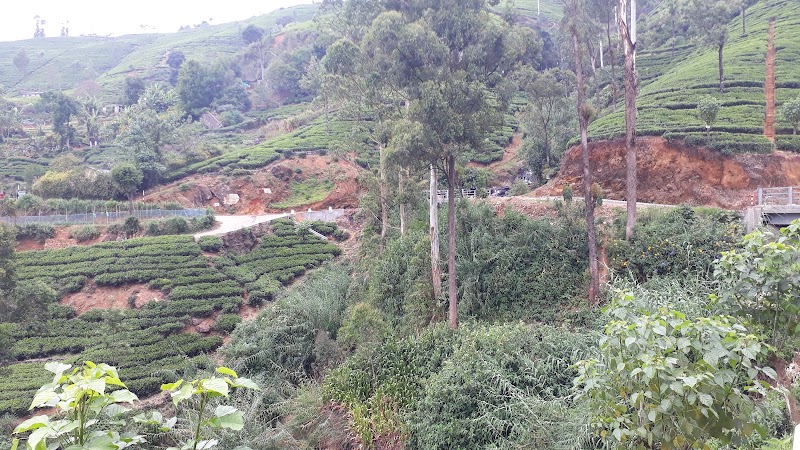 Nanu Oya - Nanu Oya, Nuwara Eliya 22200, Sri Lanka