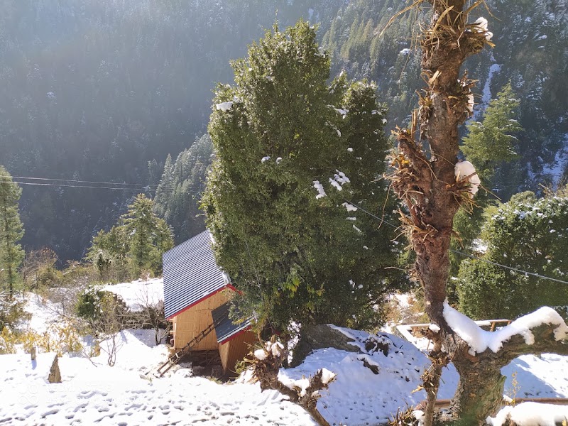 Sunrise Homestay - Sunrise Homestay Sheehl, Village Kandhi, PO Tandi, Tehsil, Banjar, Bini, Himachal Pradesh 175123, India
