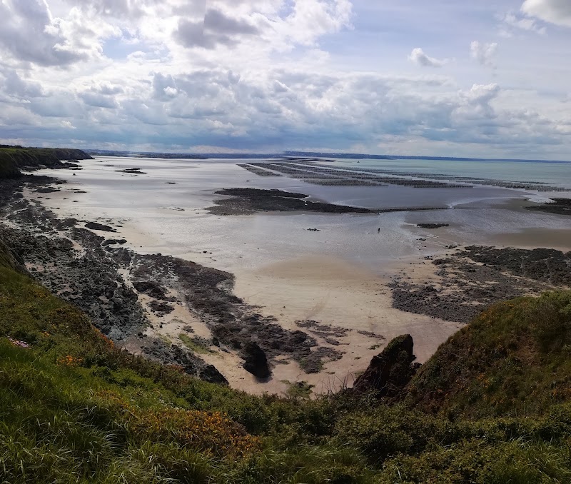 Sentier des douaniers (GR 34) : La Cotentin <> Grève du Vauglin