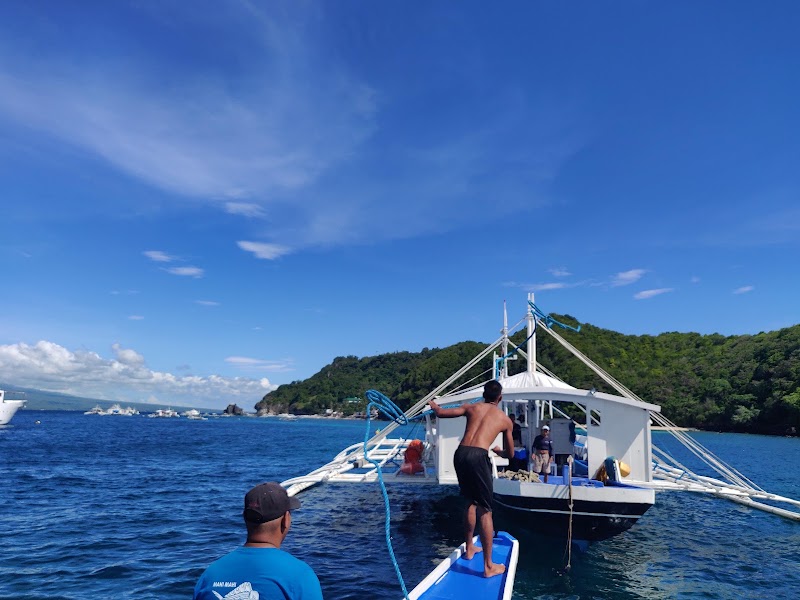 Apo Island Pano Collects, Philippines - Apo Island Pano Collects, Philippines, 37H8+G7R, Dauin, Negros Oriental, Philippines