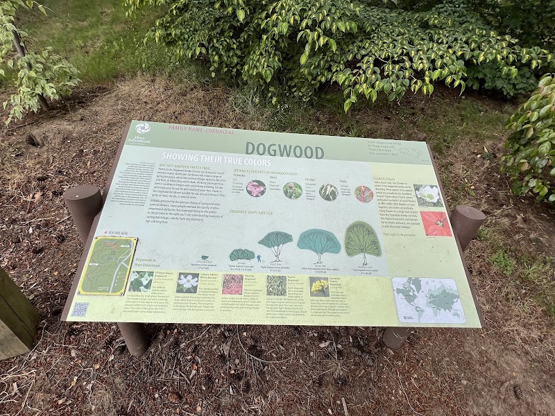 Hoyt Arboretum - Hoyt Arboretum, 4000 SW Fairview Blvd, Portland, OR 97221, USA