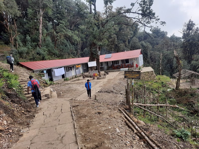 pittam deurali - pittam deurali Nepal, Lumle, Annapurna-7
