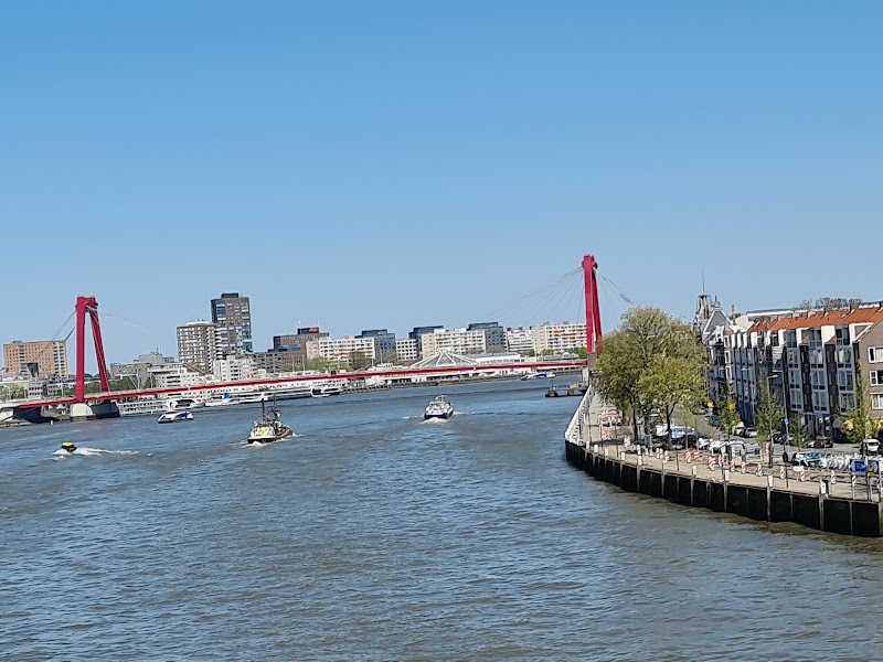 Erasmusbrug - Erasmusbrug Erasmusbrug, 3011 BN Rotterdam, Netherlands