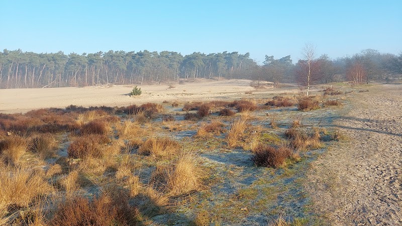 The Loonse and Drunense Duinen National Park - The Loonse and Drunense Duinen National Park, 5151 RG Drunen, Netherlands