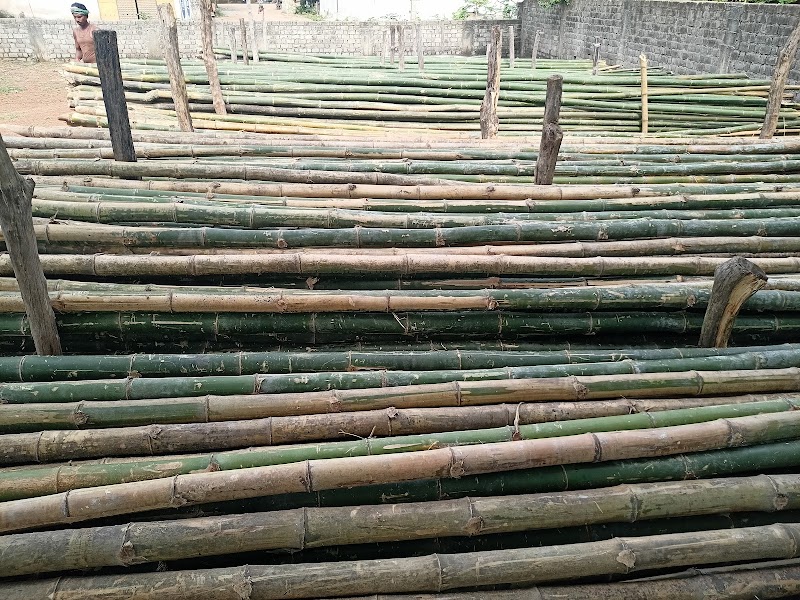 Shukla lakdi bans taal & plywood - Shukla lakdi bans taal & plywood, X33F+4F4, Bilha, Chhattisgarh 495224, India