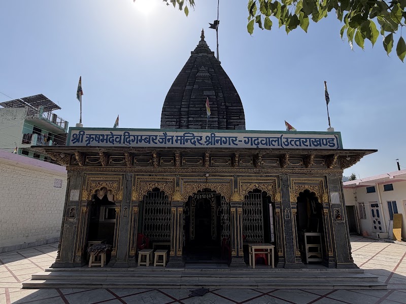 Shri 1008 Parasnath Digamber Jain Mandir - Shri 1008 Parasnath Digamber Jain Mandir, JC8Q+8FM, Jalalabad, Uttar Pradesh 247772, India