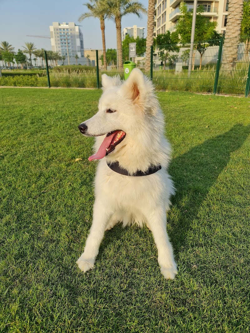 Dog Park - Dubai Hills Estate Park - Dog Park - Dubai Hills Estate Park, Unnamed Road - 466X+455 - حدائق الشيخ محمد بن راشد - دبي - United Arab Emirates