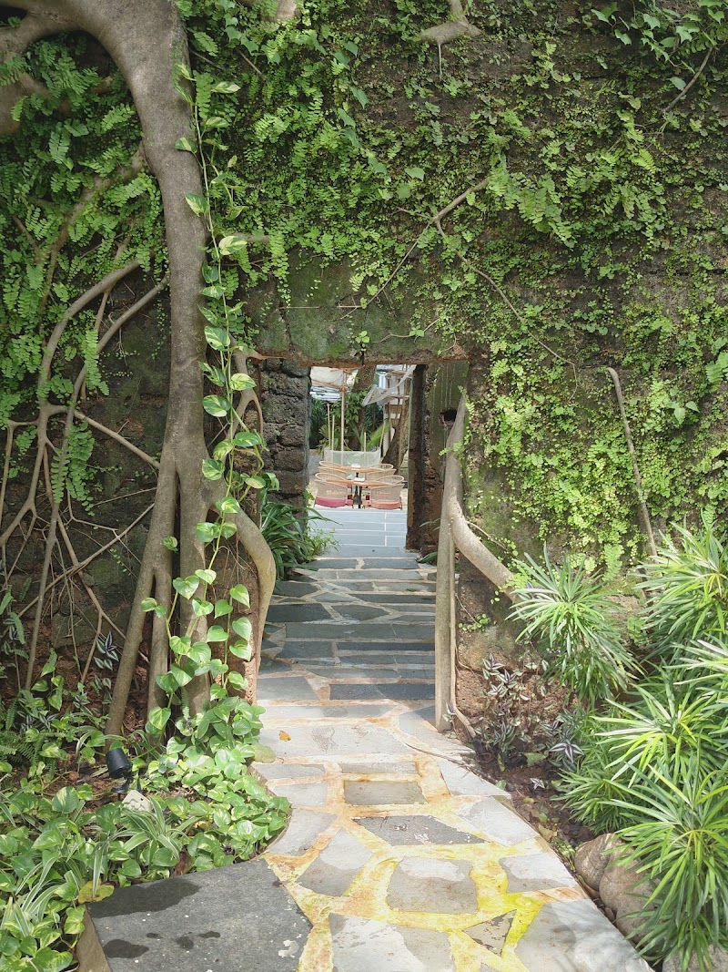 The Sanctuary Bar and Kitchen Goa - The Sanctuary Bar and Kitchen Goa House No: 1615, off Anjuna Panchayat Road, Grand Chiwar, Amani Hotel Lane, Vagator, Anjuna, Goa 403509, India