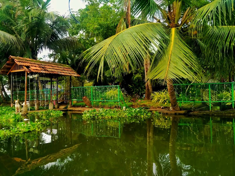 Mangroves Villa - Mangroves Villa Manimoopan Rd, Vaduthala, Kochi, Kerala 682023, India