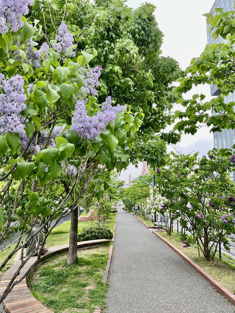 Odori Park - Odori Park Japan, 〒060-0042 北海道札幌市中央区大通西１〜１２丁目