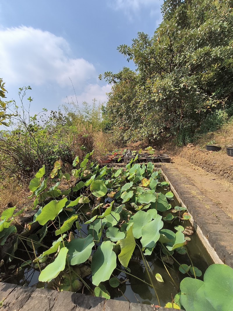 Devrai Art Village - Devrai Art Village Devrai, panchgani CHS, opposite On Wheelz Amusement Park, Ganeshpeth, Taighat, Maharashtra 412805, India
