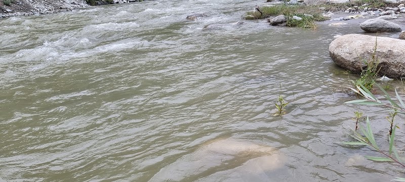 Gushaini - Gushaini Gushaini, Himachal Pradesh 175123, India