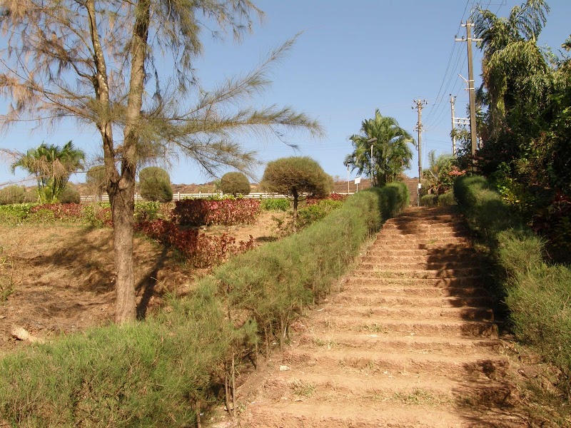 Mandrem garden - Mandrem garden 123, Querim–Arambol–Agarwada Rd, Junos Vaddo, Mandrem, Goa 403527, India