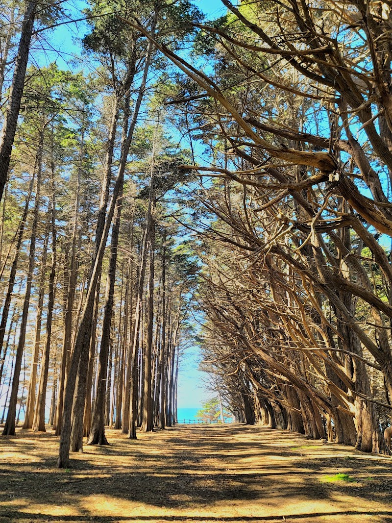 J V Fitzgerald Marine Reserve