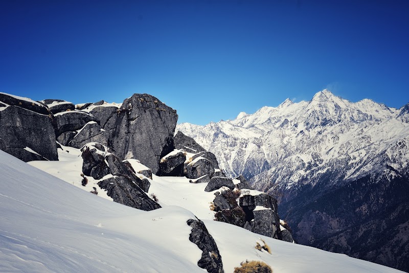 Track to Khalia Top - Track to Khalia Top Track to Khalia Top, Uttarakhand 262554, India