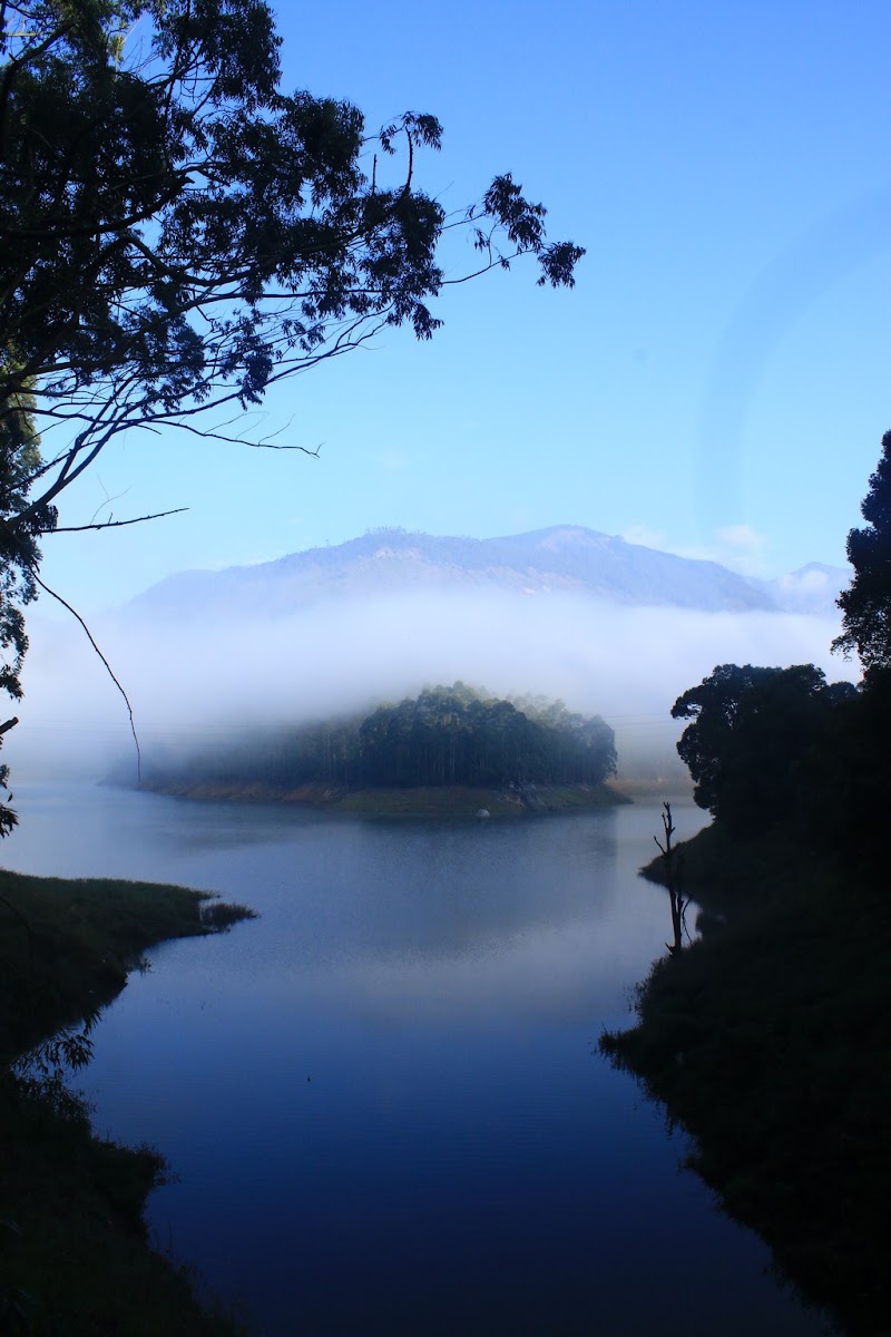 Munnar Tourism Destination - Munnar Tourism Destination 33Q5+FQ5, General Hospital Rd, Nullatanni, Munnar, Kerala 685612, India