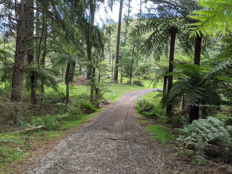Yarra Ranges Shire - Yarra Ranges Shire, Yarra Ranges, VIC, Australia