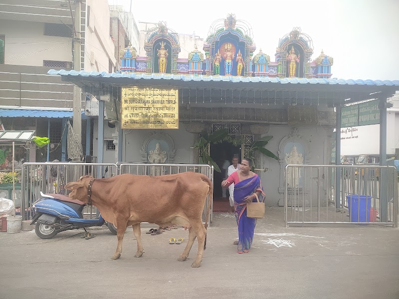 Sri Suryanarayana Swamy Vari Temple - Sri Suryanarayana Swamy Vari Temple JC5X+8WX, Pushkarani Rd, Tiruchanur, Andhra Pradesh 517503, India