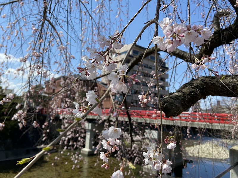 Miyagawa River - Miyagawa River, Japan