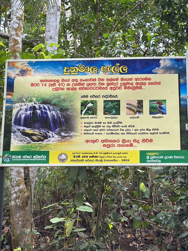 Dunumala Ella Waterfall - Dunumala Ella Waterfall, 46X2+3R7, Galapitamada, Sri Lanka