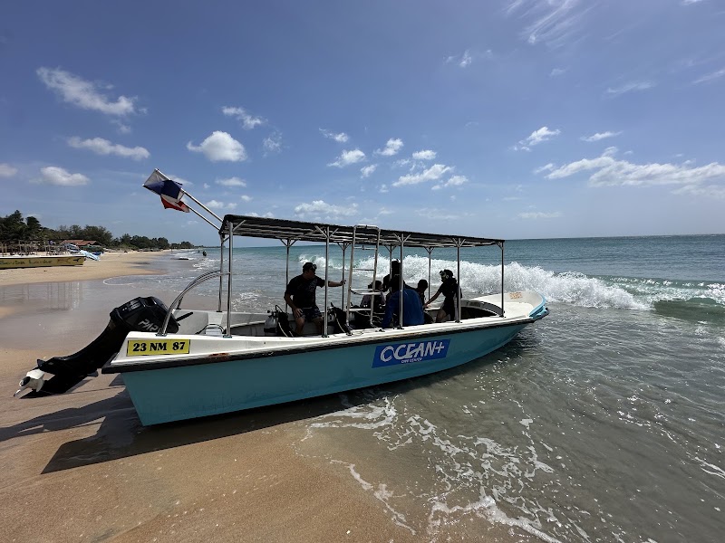 Ocean Plus Trinco Watersport and Dive Center - Ocean Plus Trinco Watersport and Dive Center Sri Lanka, LK Nilaveli 8th mile post, Veloor, Ward no-01邮政编码: 31010