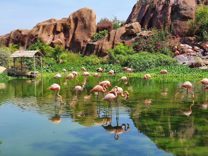 Hòn Tre - Hòn Tre, Nha Trang, Khánh Hòa, Vietnam
