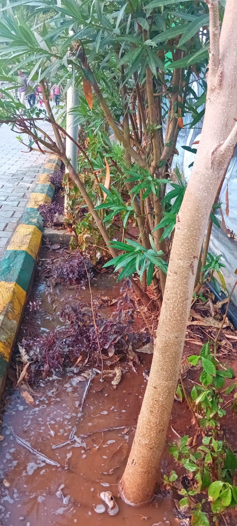 Kittu Park - Kittu Park Ellaiamman Kovil St, Vellai Thottam, West Mambalam, Chennai, Tamil Nadu 600033, India