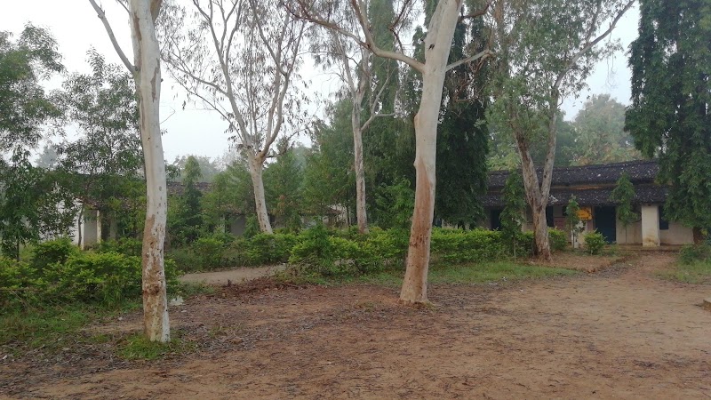 A N High School - A N High School, JRHV+38P, Mingur-Kalampur Rd, Dhanpur, Odisha 766013, India