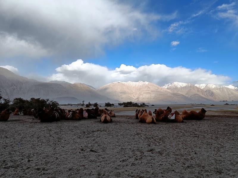 Nubra Valley - Nubra Valley, HG2W+7FX, Diskit, 194401