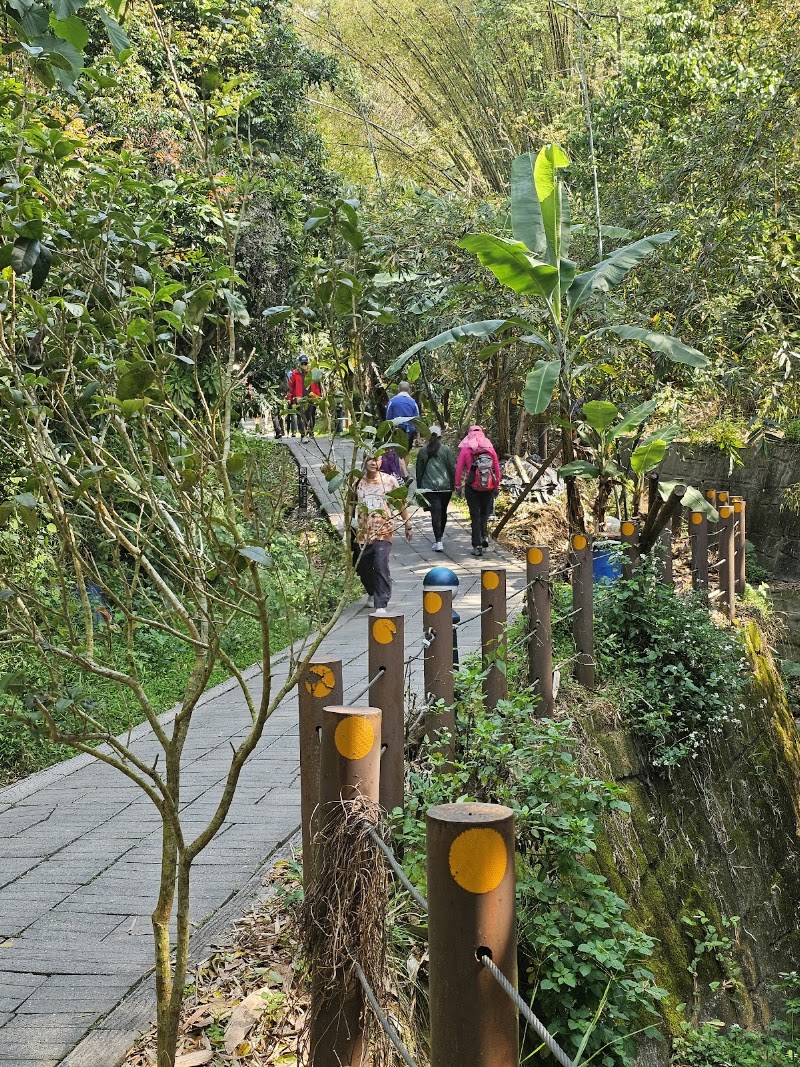 Dakeng Trail No.9-1 - Dakeng Trail No.9-1, Beitun District, Taichung City, Taiwan 406