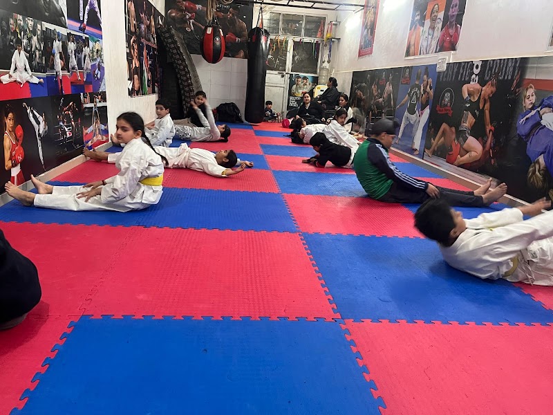 MMA TIGERS Martial Arts Delhi. - MMA TIGERS Martial Arts Delhi., matro pillar no.499 4B/1, 110018, near Bank of Baroda, Block 4B, Tilak Nagar, New Delhi, Delhi, 110018, India