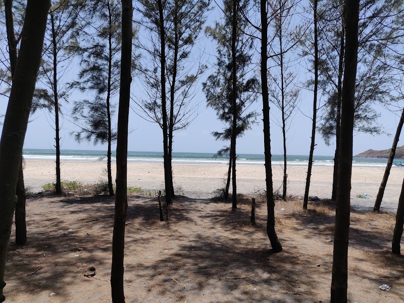 Kajirbhati Beach (Nevare-Ratnagiri) - Kajirbhati Beach (Nevare-Ratnagiri) 477H+68P, Neware, Maharashtra 415620, India
