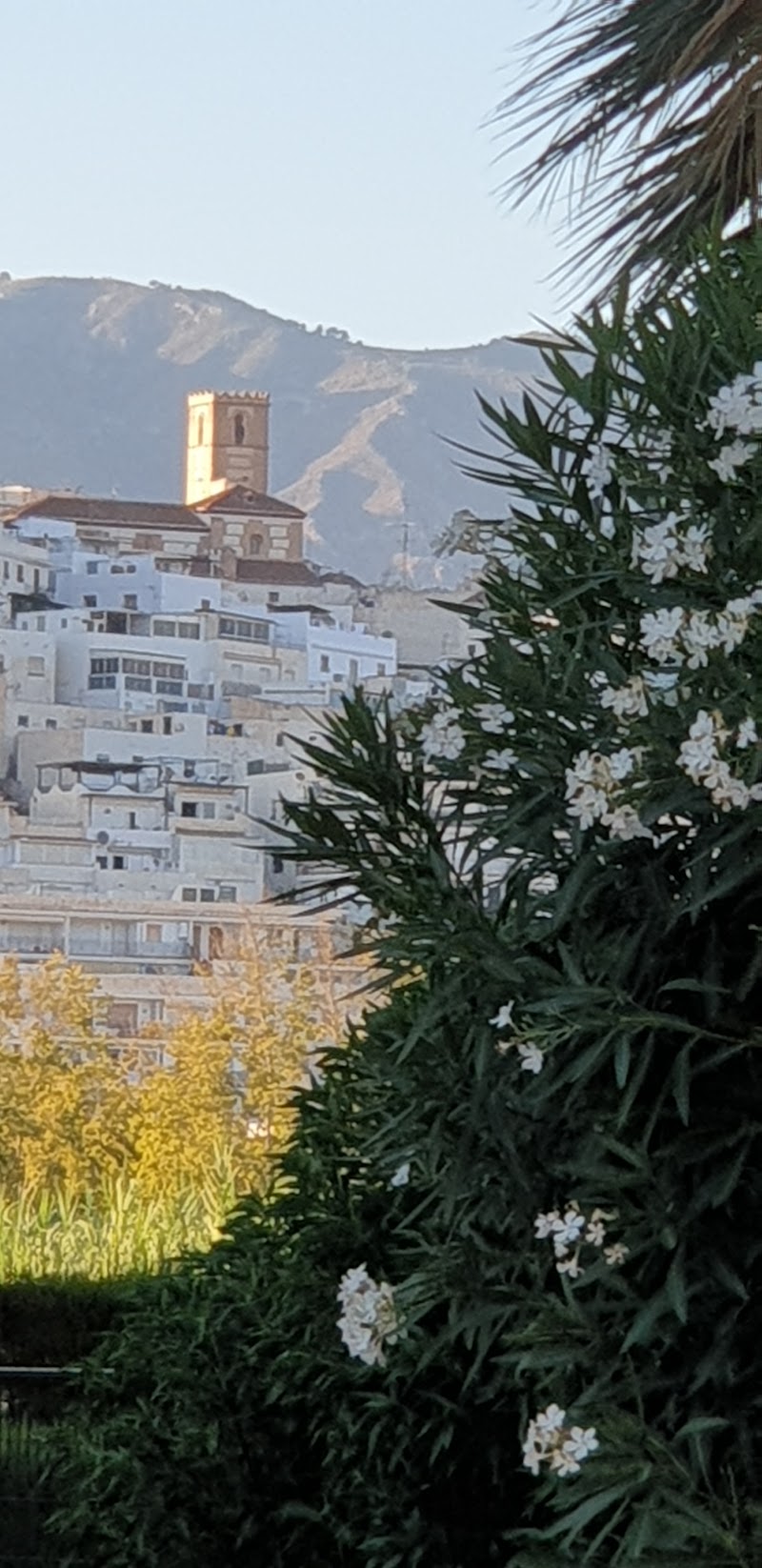 Salobreña - Salobreña 18680 Salobreña, Granada, Spain