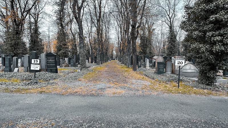 Friedhof Praha (Franz Kafka Grave) - Friedhof Praha (Franz Kafka Grave), Izraelská 1, 130 00 Praha 3, Czechia
