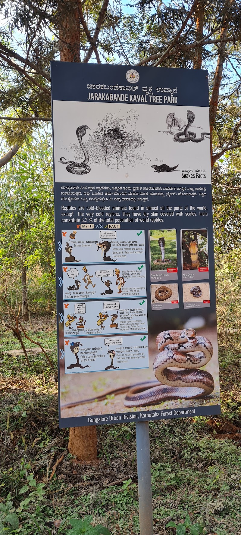 J B Kaval Tree Park - J B Kaval Tree Park 4GGX+2QX, Jarakbandekaval, Karnataka 560119, India