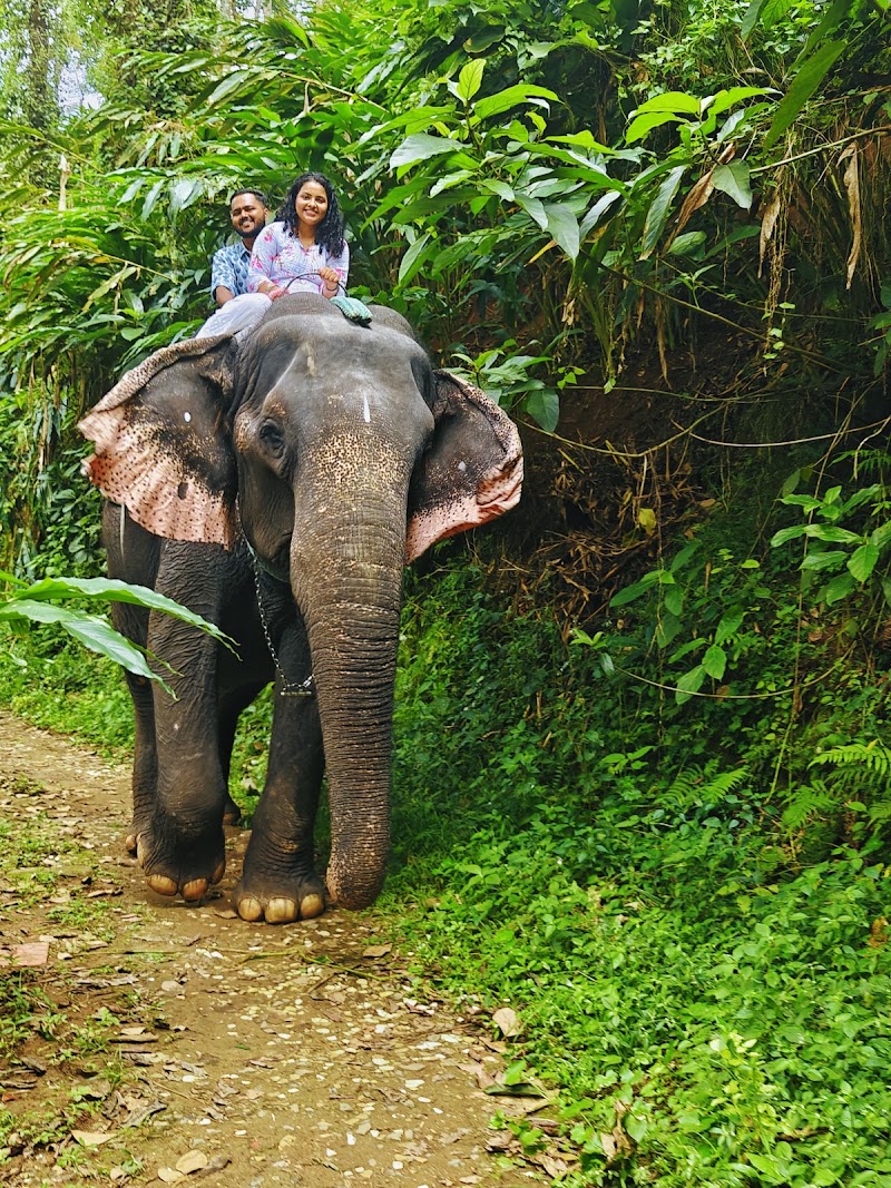 Kerala Holidays Pvt. Ltd. केरल टूर पैकेज - Kerala Holidays Pvt. Ltd. केरल टूर पैकेज, NH Bypass, above Bread World, Thykoodam, Vyttila, Kochi, Kerala 682019, India