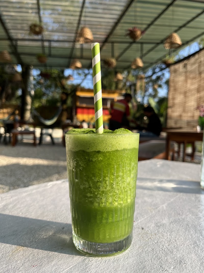 TLO Cafe - TLO Cafe, The Life Outdoor, Bir Colony, Bir, Baijnath, Himachal Pradesh 176077, India